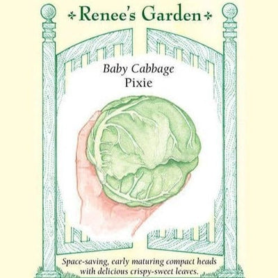 Cabbage Pixie - Renee's Garden Seeds