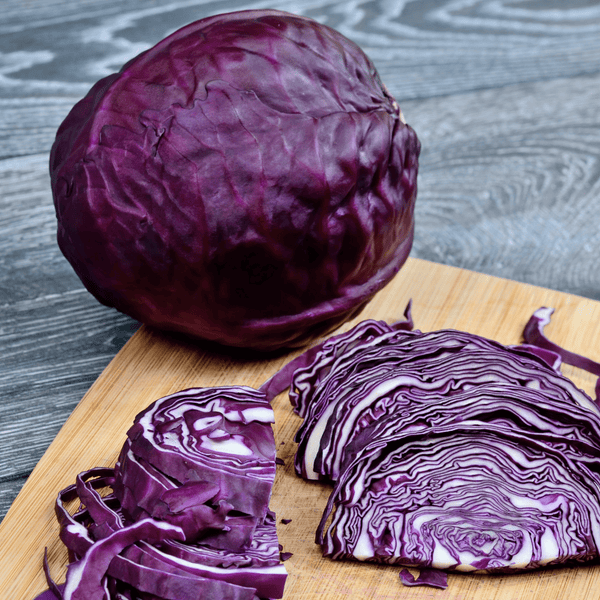 Cabbage Red Acre - Salt Spring Seeds