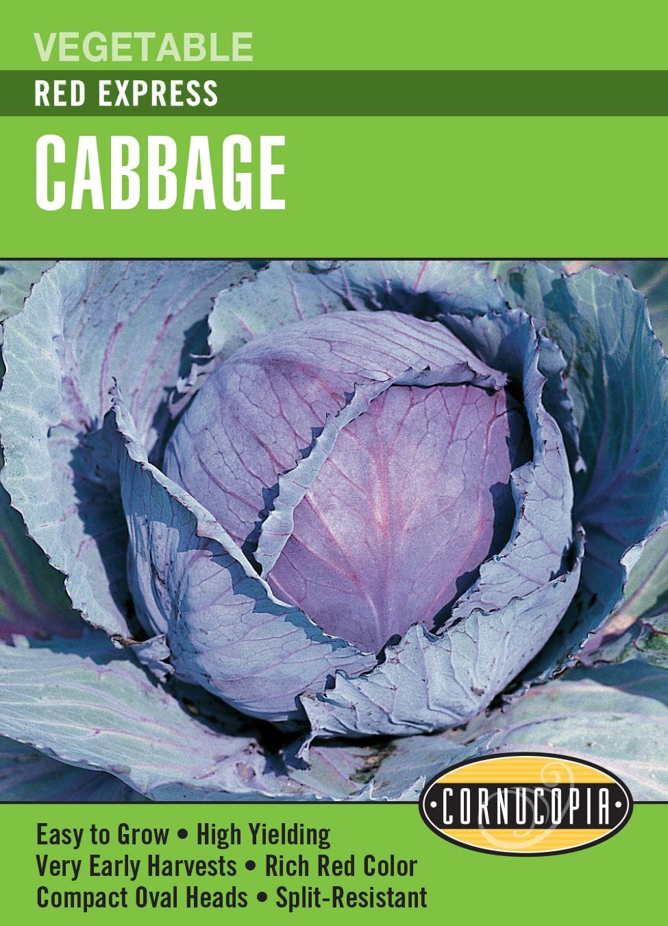 Cabbage Red Express - Cornucopia Seeds