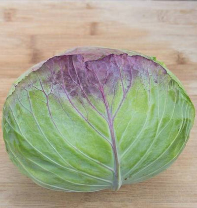 Cabbage Taiwan Cabbage - West Coast Seeds