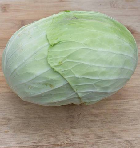 Cabbage Taiwan Cabbage - West Coast Seeds