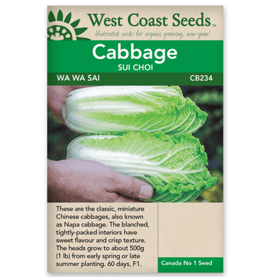 Cabbage Wa Wa Sai