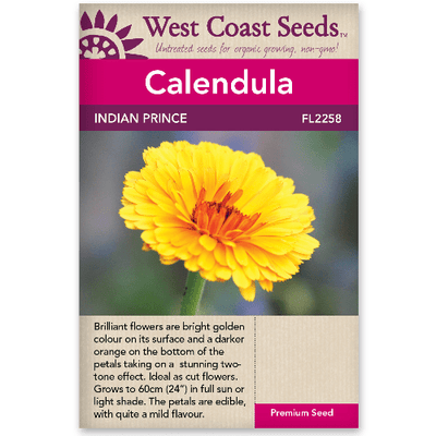 Calendula Indian Prince - West Coast Seeds