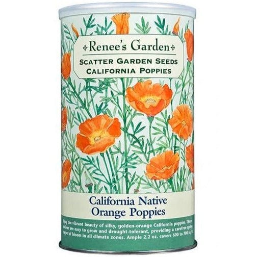 Scatter Can California Poppies - Renee's Garden Seeds