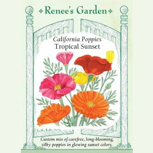 Poppies Tropical Sunset - Renee`s Garden Seeds