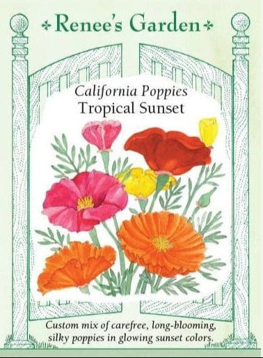 Poppies Tropical Sunset - Renee`s Garden Seeds