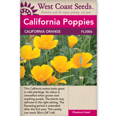 Poppy California Orange - West Coast Seeds