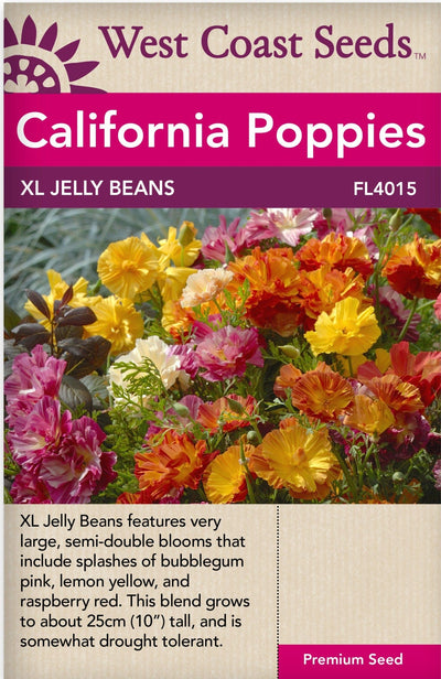 California Poppy XL Jelly Bean - West Coast Seeds