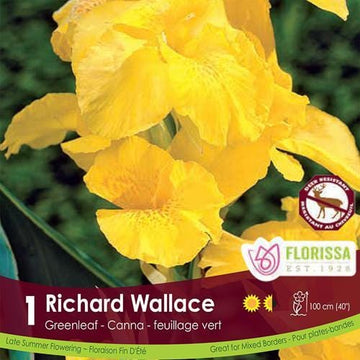 Canna, Greenleaf - Richard Wallace