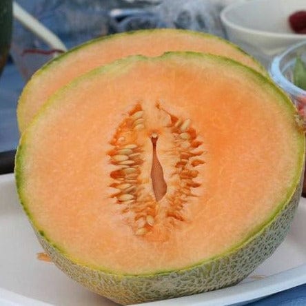 Melons Earlichamp - West Coast Seeds