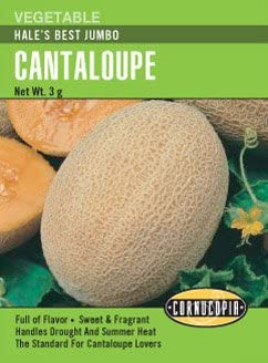Cantaloupe Hale's Best Jumbo - Cornucopia Seeds
