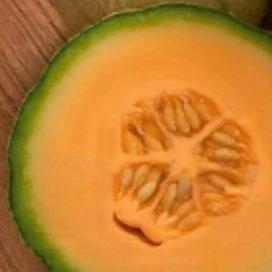 Cantaloupe Heart of Gold - Aimer's Organic Seeds