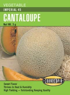 Cantaloupe Imperial 45 - Cornucopia Seeds