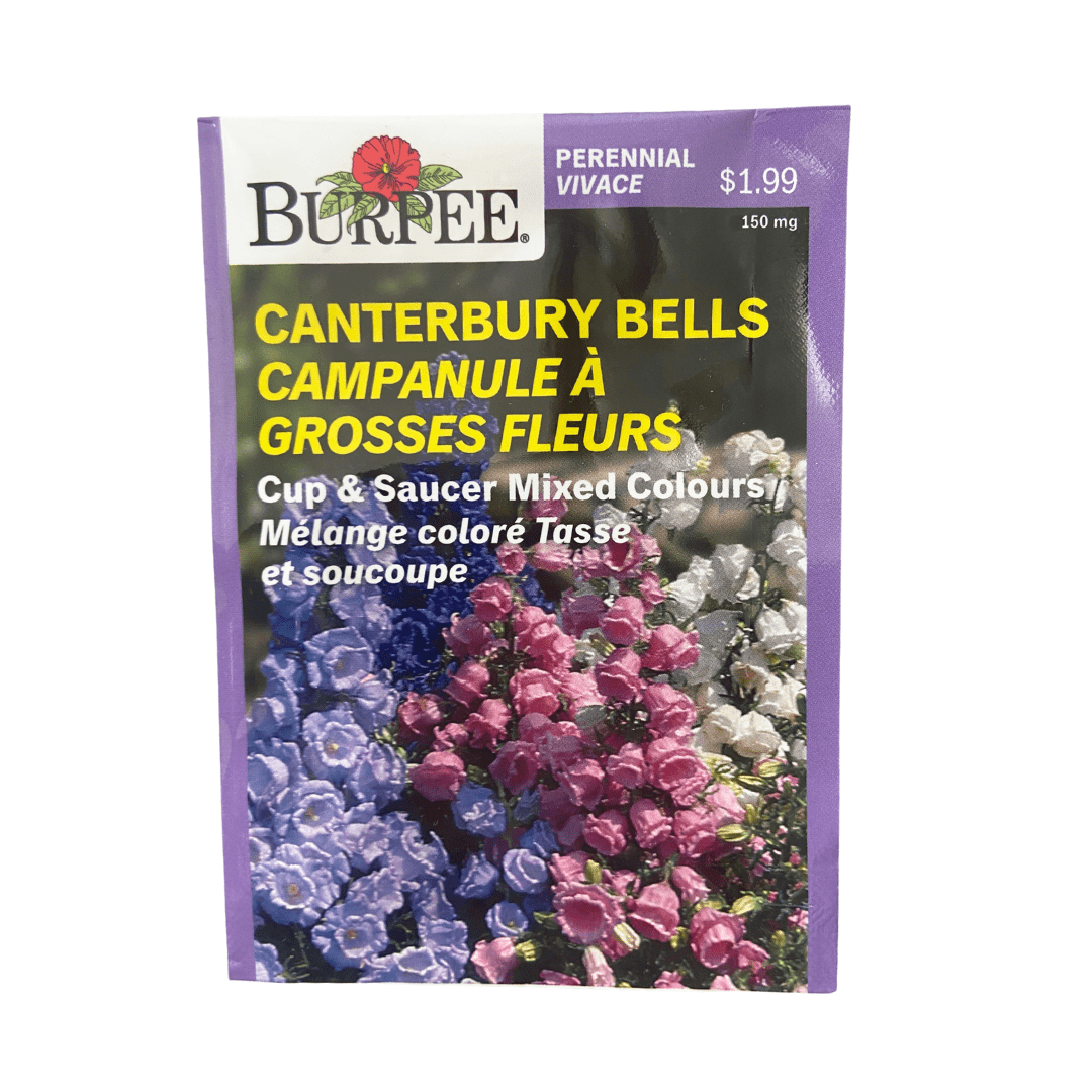 Canterbury Bells Cup - Burpee Seeds