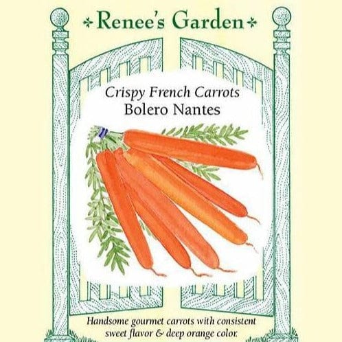Carrots Bolero Nantes - Renee's Garden Seeds