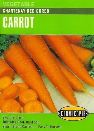 Carrot Chantenay Red Cored - Cornucopia Seeds