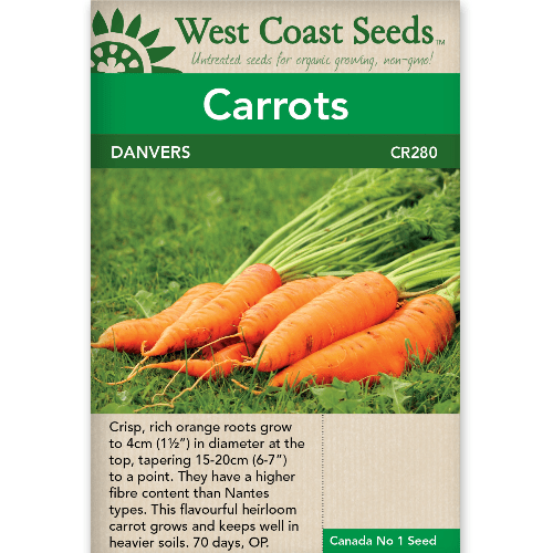 Carrots Danvers - West Coast Seeds