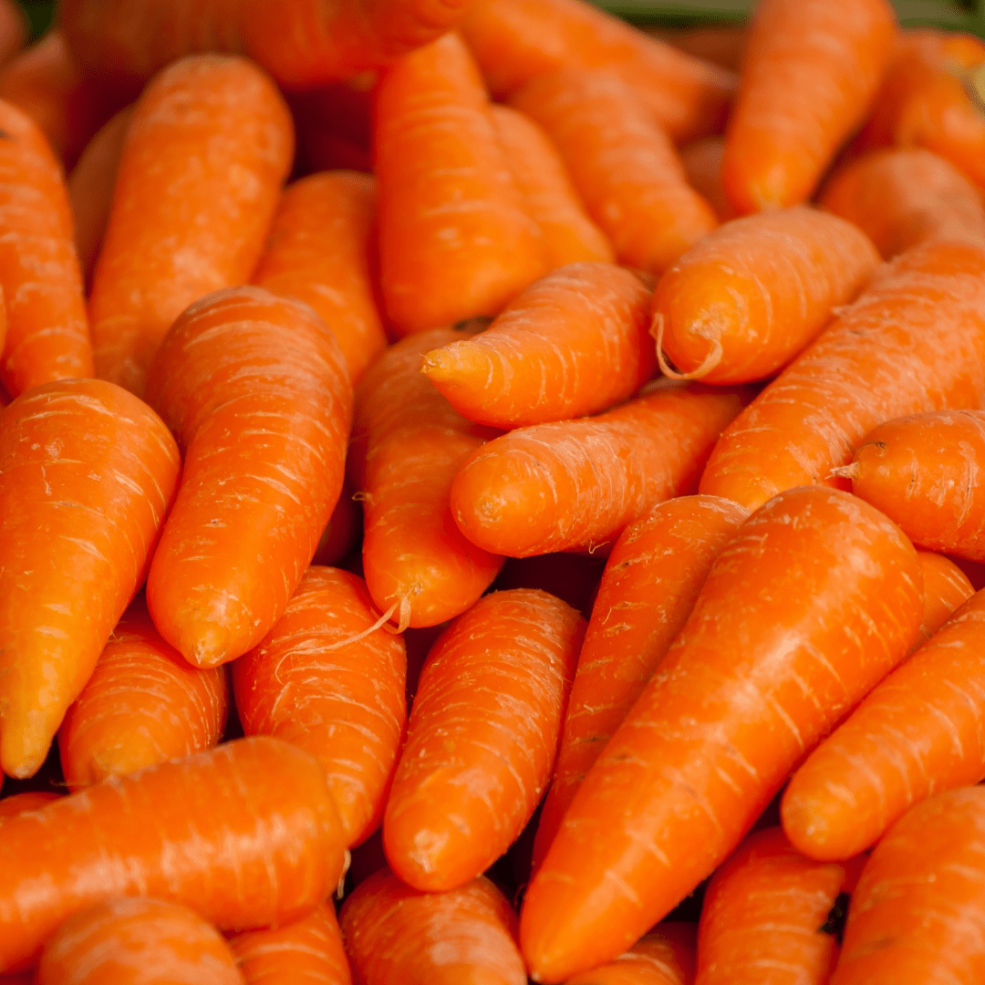 Carrot Musgrave Munchie - Salt Spring Seeds