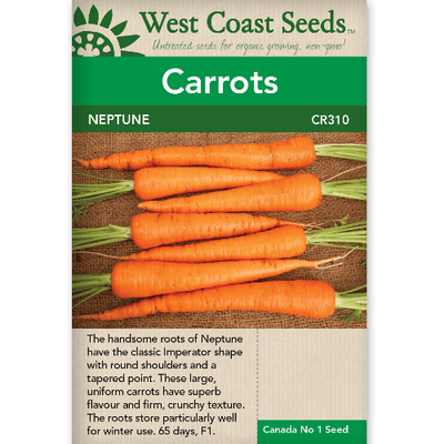 Carrots Neptune - West Coast Seeds
