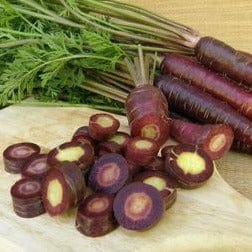 Carrot Purple Sun - Renee`s Garden Seeds