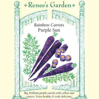 Carrot Purple Sun - Renee`s Garden Seeds