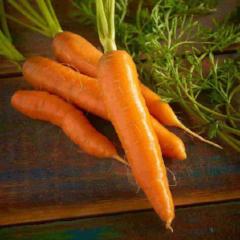 Seed Tape Carrot Red Cored - McKenzie Seeds