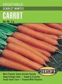 Carrot Scarlet Nantes - Cornucopia Seeds