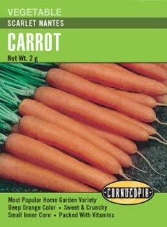 Carrot Scarlet Nantes - Cornucopia Seeds
