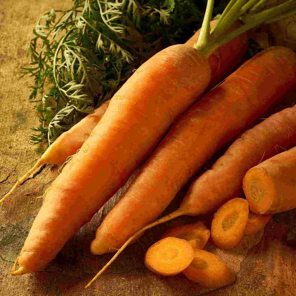 Carrot Scarlet Nantes Jumbo Pack - McKenzie Seeds 