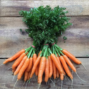 Carrot Scarlet Nantes - Saanich Organics