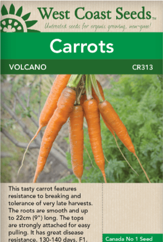  Carrots Volcano - West Coast Seeds