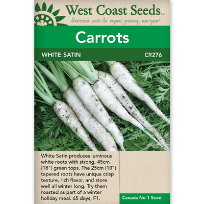 Carrots White Satin - West Coast Seeds