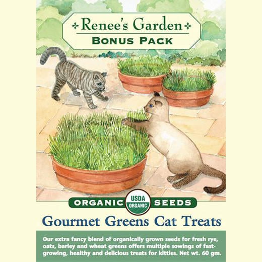 Cat Treats Organic Bonus Pack- Renee's Garden Seeds