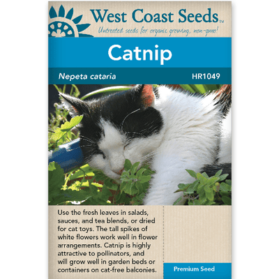 Catnip Nepeta Cataria - West Coast Seeds