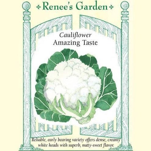 Cauliflower Amazing - Renee's Garden Seeds