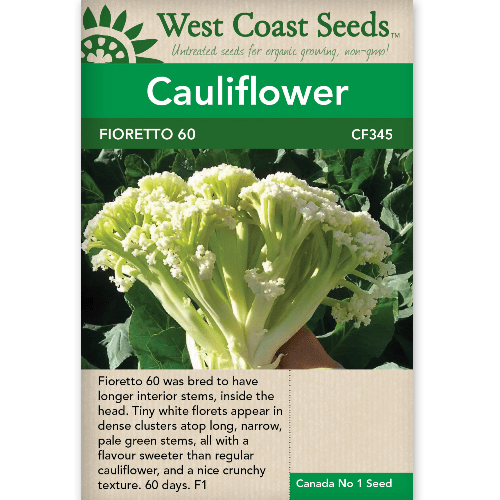 Cauliflower Fioretto 60 - West Coast Seeds