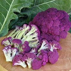 Cauliflower Purple Crush