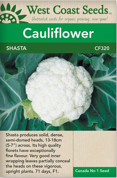 Cauliflower Shasta - West Coast Seeds