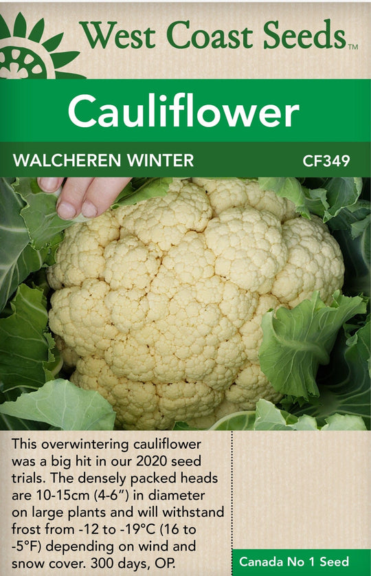 Cauliflower Walcheren Winter - West Coast Seeds