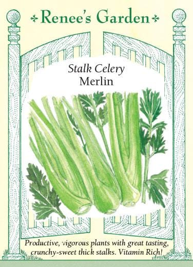 Celery Merlin - Renee's Garden Seeds