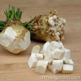 Celery Root Prinz - Renee's Garden Seeds