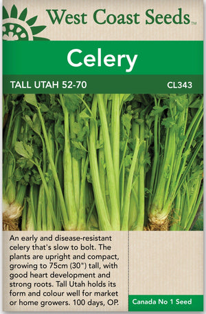 Celery Tall Utah 52-70 - West Coast Seeds