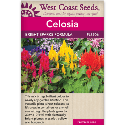 Celosia Bright Sparks Formula - West Coast Seeds