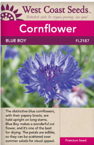 Centaurea Blue Boy - West Coast Seeds
