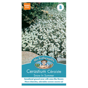 Cerastium Snow in Summer - Mr. Fothergill's Seeds