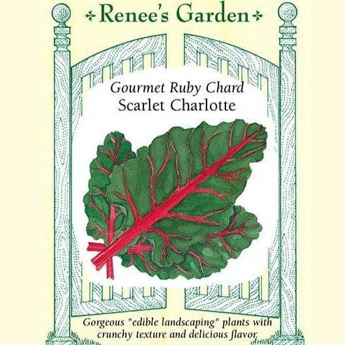 Chard Scarlet Charlotte - Renee's Garden Seeds