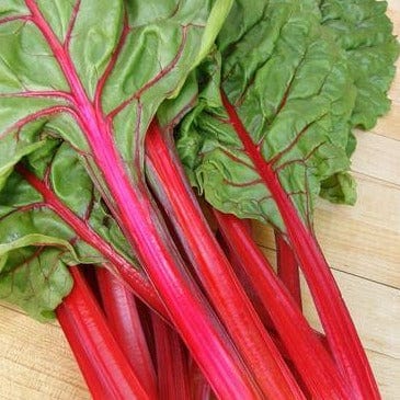 Chard Scarlet Charlotte - Renee's Garden Seeds