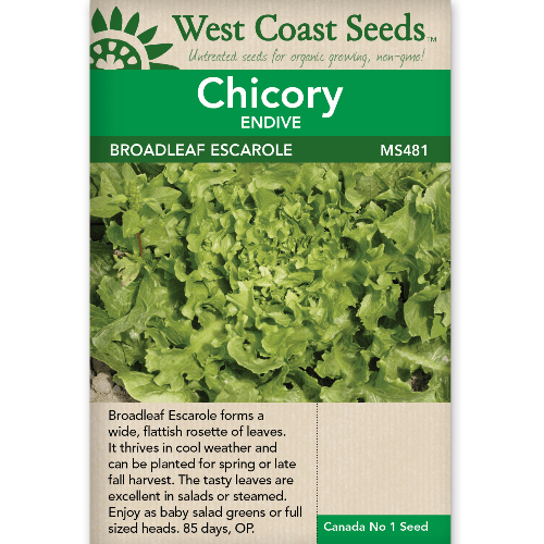 Chicory Broadleaf Escarole - West Coast Seeds