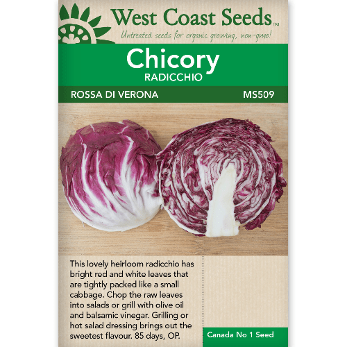 Chicory Rossa Di Verona - West Coast Seeds