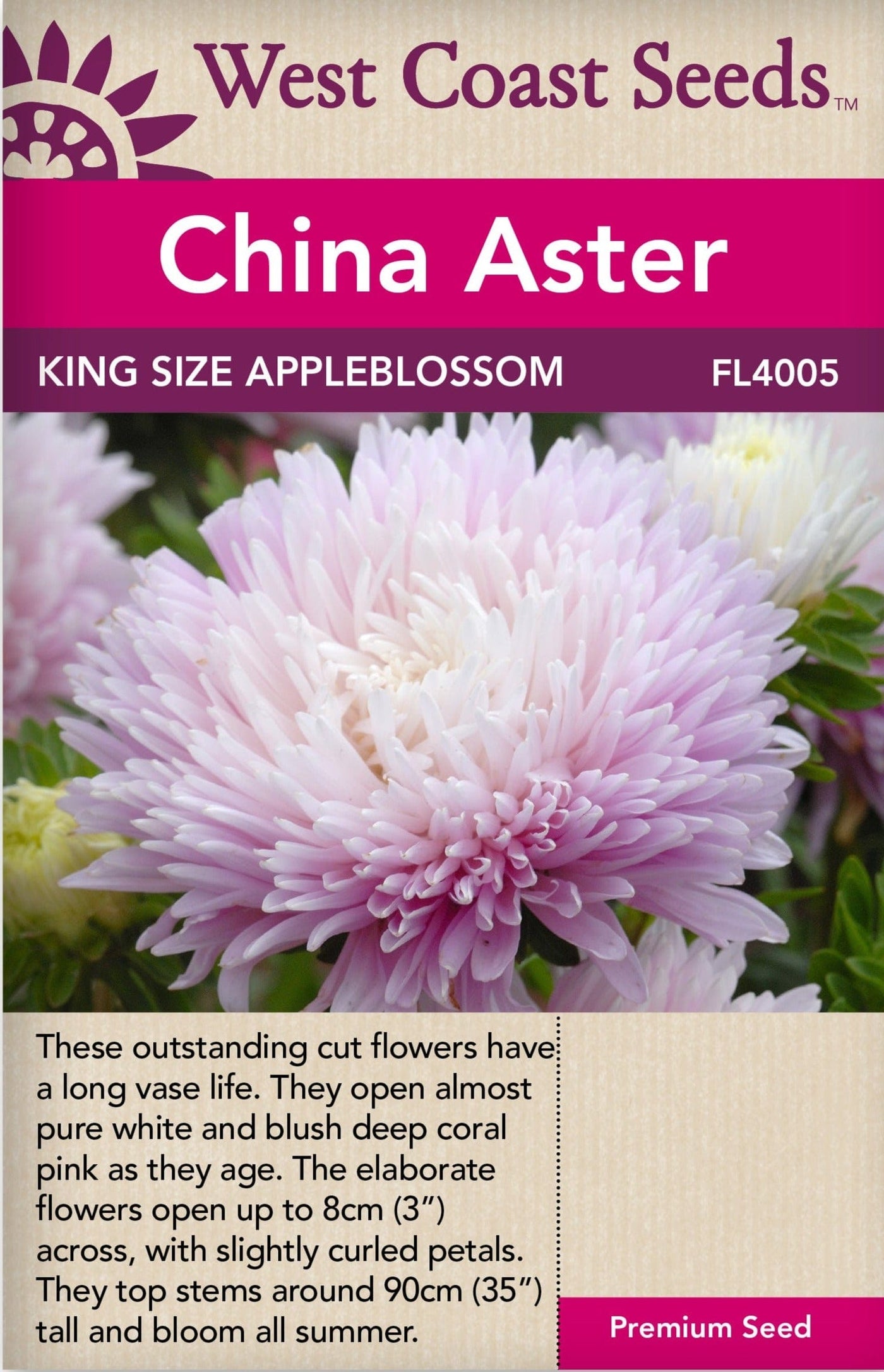 China Aster King Size Appleblossom - West Coast Seeds